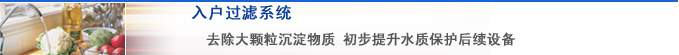 入户过滤系统简介
